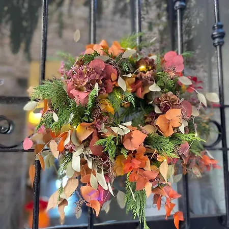 Bed & Breakfast Ti Vengo A Cercare B&B Castellaro (Liguria)