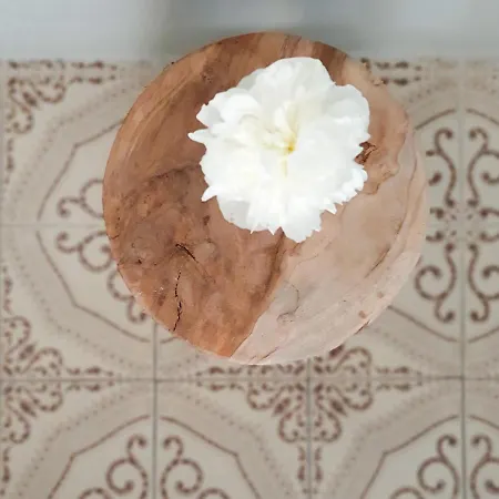 Ti Vengo A Cercare B&B Castellaro (Liguria)