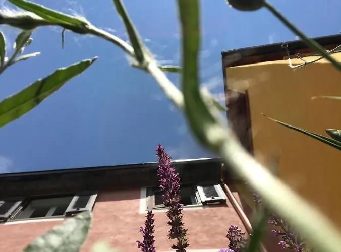 Ti Vengo A Cercare Nocleg ze śniadaniem