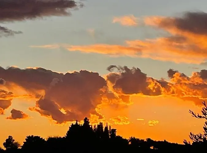 Ti Vengo A Cercare Bed & Breakfast Castellaro (Liguria)