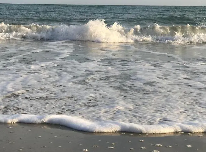 Ti Vengo A Cercare Nocleg ze śniadaniem Castellaro (Liguria)