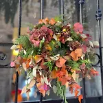 Bed & Breakfast Ti Vengo A Cercare Castellaro (Liguria)