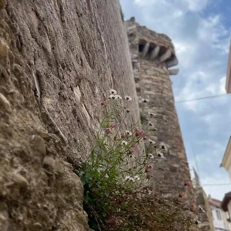 Ti Vengo A Cercare Bed & Breakfast Castellaro (Liguria)