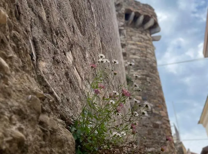 Ti Vengo A Cercare B&B Castellaro (Liguria)